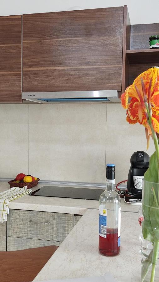 Iris Home 4 Paralia Katerinis Exterior photo